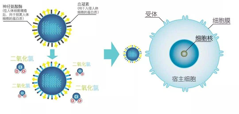 二氧化氯应用领域介绍